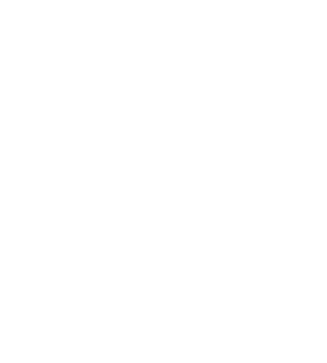 Nítida Alzira